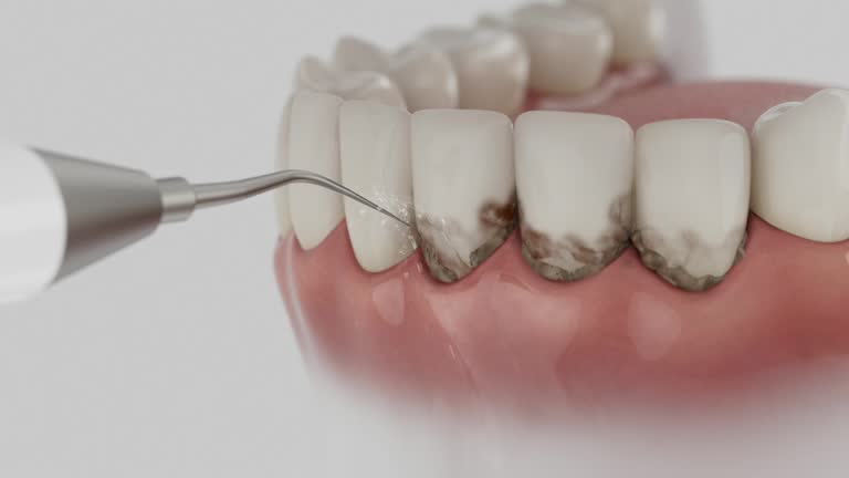 Reliable Dental contractor in Stevensville, MT by Dentist Open Now